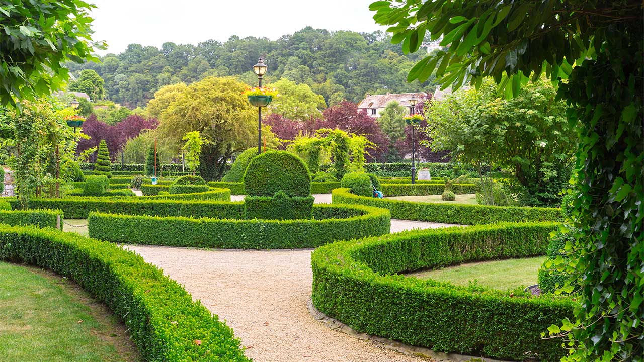 Beautiful community garden