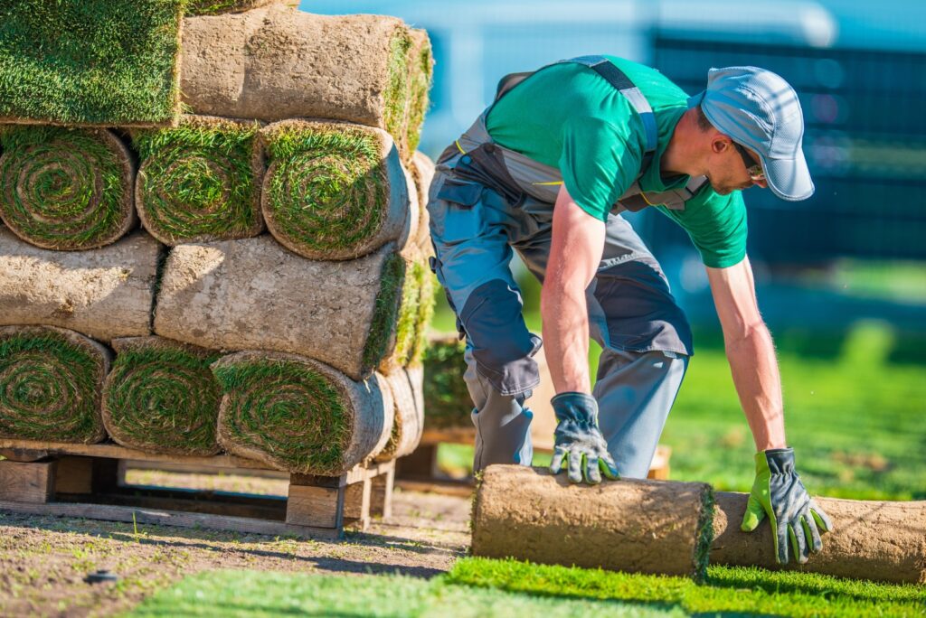 A professional landscaper installing fresh sod rolls on a lawn as part of landscaping services.