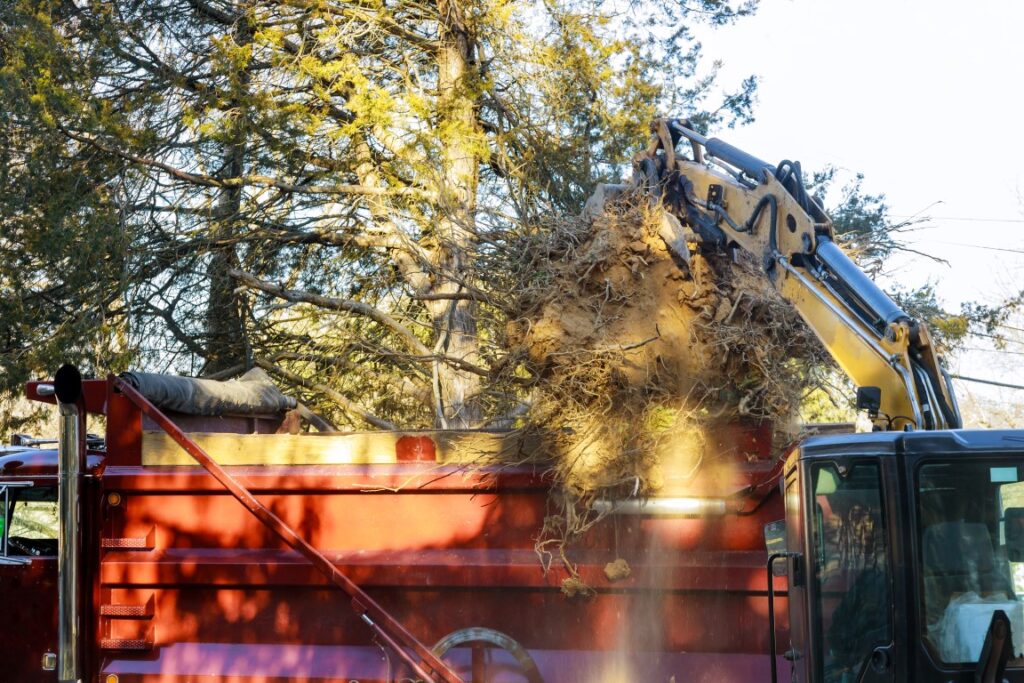 Tree removal service truck with large fallen tree.
